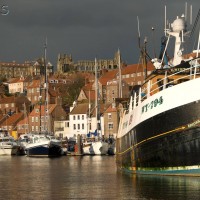 Marine Hull Fouling Whitby 77